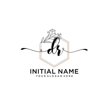 Handwriting Floral Initial Logo DR with Geometric Frame