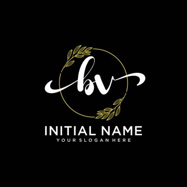 Markalaşma ve İşletme İçin Modern BV El Yazısı Logosu Koleksiyonu