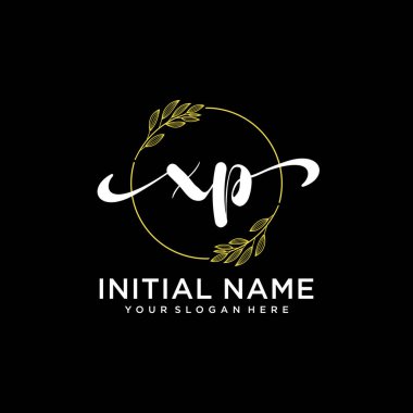 Markalaşma ve İşletme İçin Modern XP El Yazısı Koleksiyonu