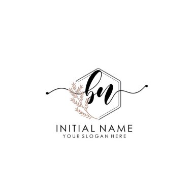 Botanik ve Minimalist Tasarımlı El Yazısıyla BN İlk Logosu