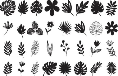 Siyah tropikal yaprak siluetleri ve botanik karalamalar. El çizimi canavar palmiye, çiçek ve soyut çiçek elementleri beyaz, çevre dostu botanik çizimler seti