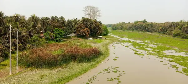 Ormandaki nehrin güzel manzarası