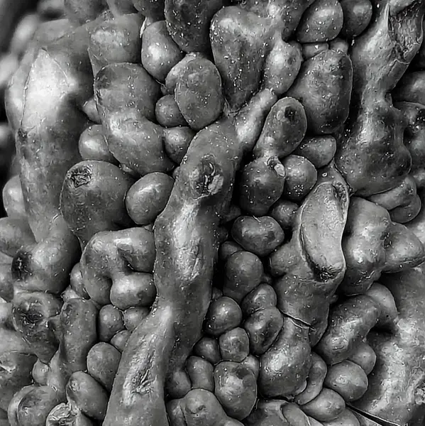 pazarda taze ve lezzetli karnabahar