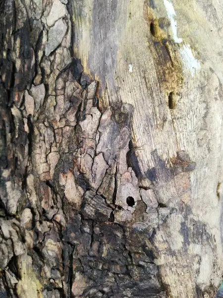 Eski Paslı demir desen arka planı