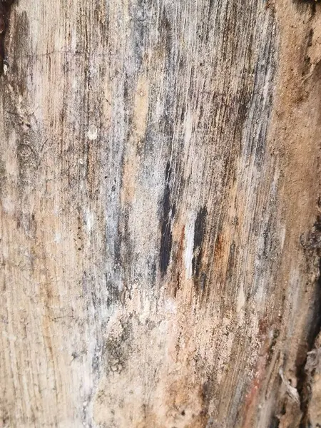 soyut ahşap doku arkaplanı