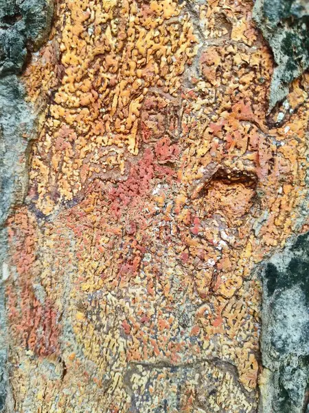 Metin için alanı olan soyut arkaplan