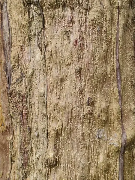 Ahşap doku, eski ahşap zemin