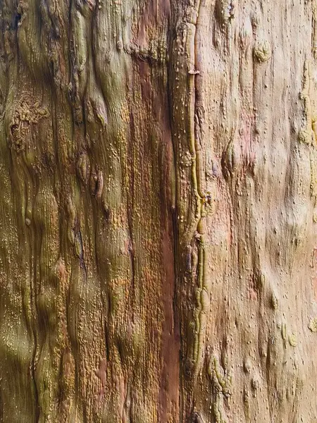 Ağaç gövdesi dokusu