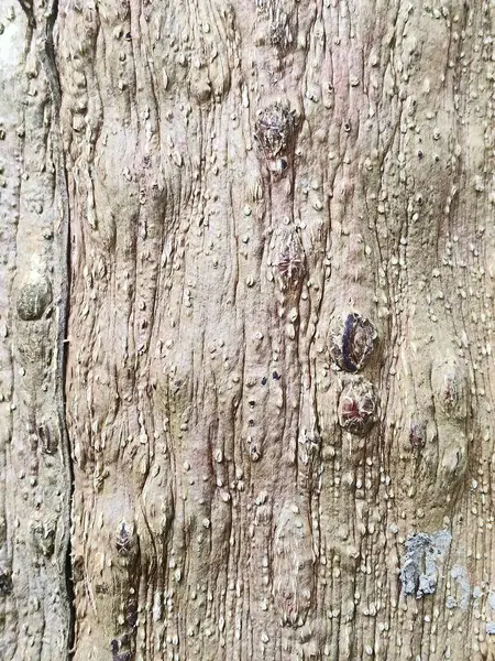 Doğal desenli ahşap doku