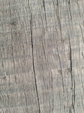 Ahşap doku arka planı. Eski tahta kalıpları. ahşap desen