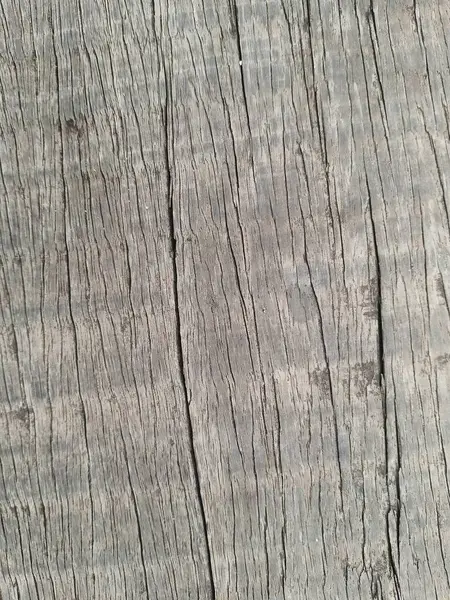 Ahşap doku arka planı. Eski tahta kalıpları. ahşap desen