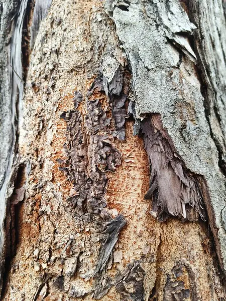 eski ahşap doku arkaplanı