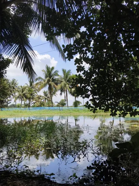 Güzel göl manzarası