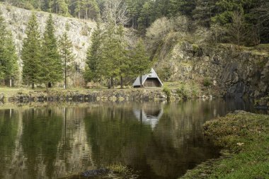 Ormandaki küçük ev