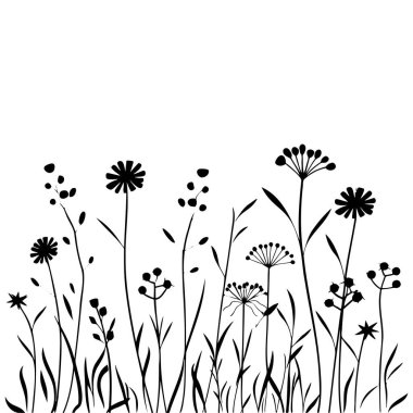 Siluet kır çiçekleri çimenleri. İlkbahar veya yaz çiçekleriyle çizilmiş siyah bir el çizimi. Bitki ve bitkinin gölgesi. Beyaz arkaplanda izole edilmiş doğa alanı