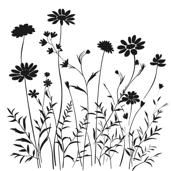 stock vector Silhouette wildflowers grass. Vector black hand drawn illustration with spring or summer flowers. Shadow of herb and plant. Nature field isolated on white background