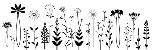 Silueta Divokých Květin Trávy Vektorově Černé Ručně Kreslené Ilustrace Jarními — Stockový vektor