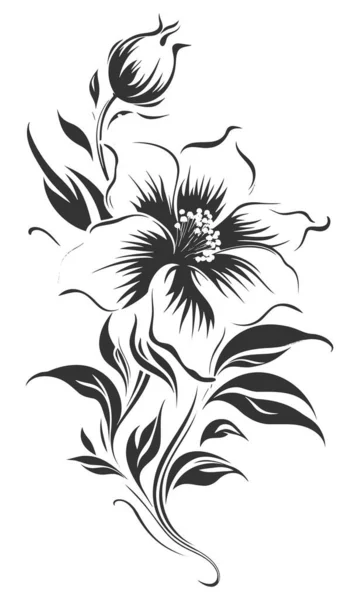 被白色背景隔离的百合花的向量黑色等高线 Eps — 图库矢量图片