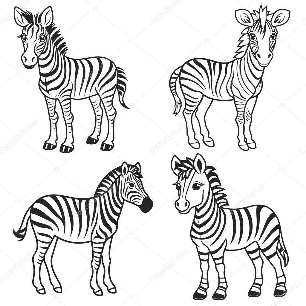 Graphical set of zebra isolated on white background,vector illustration. EPS 10