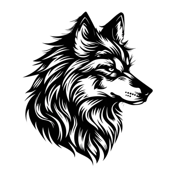 Kurt kafasının monokromatik bir çizimi etobur çenesini, bıyıklarını ve burnunu gösteriyor. Karasal bir hayvanın bu sanatsal tasviri köpek cinsi bir aileye aittir.