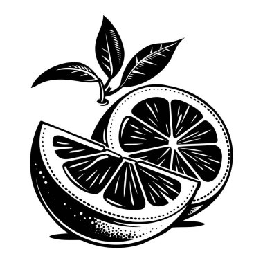 Yapraklı segmentli bir portakalın detaylı siyah beyaz çizimi doğal meyvelerin güzelliğini gözler önüne seriyor.