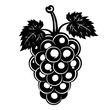 Yapraklı bir üzüm kümesini resmeden detaylı bir siyah beyaz çizim, bir sarmaşığa asılmış.