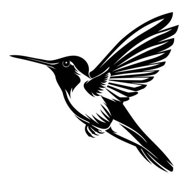 Uçan bir sinekkuşunun zarif silueti. Geniş kanatları, zarafet ve çeviklik sergiliyor..