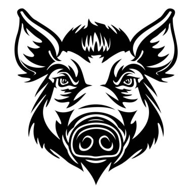 Siyah beyaz bir yaban domuzu yüzü, hayvanın belirgin özelliklerini ve vahşetini gözler önüne seriyor..