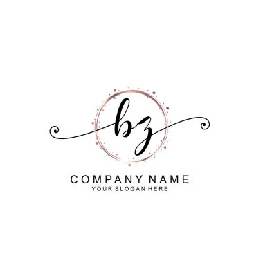 Modern El Yazısı Biçimli Zarif BZ İlk Logo Koleksiyonu