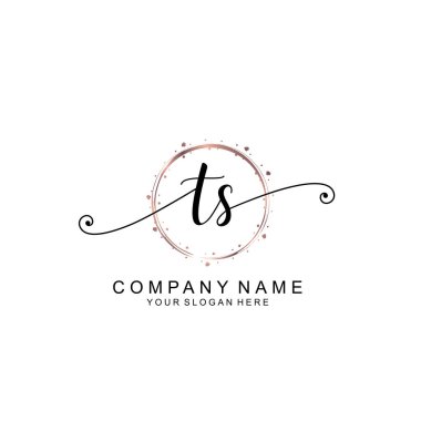 Modern El Yazısı Biçimli Zarif TS İlk Logo Koleksiyonu