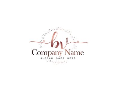 Brand Kimliği için BV Modern El Yazısı Logo Kavramları