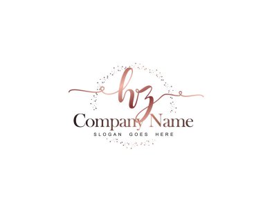 Marka Kimliği için HZ Modern El Yazması Logo Kavramları