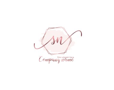 Modern Çiçek Monogramı SN Logo Tasarım Şablonu