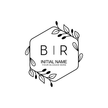 Çiçek İlham Veren İlk BR Logoları Zamansız ve Sanatsal Markalar İçin