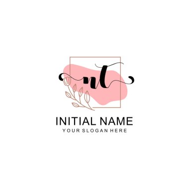 Sanatsal Fırça Aksanlı NT Modern El Yazısı Logosu