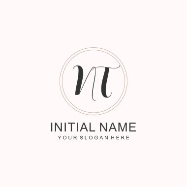 Markalaşma Kimliği için NT Minimalist Klasik Logo Tasarımı