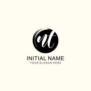 Sanatsal Fırça Aksanlı NT Modern El Yazısı Logosu