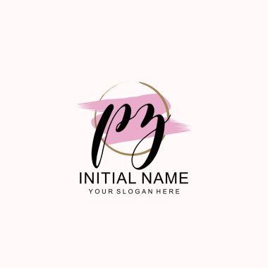 Sanatsal Fırça Aksanlı PZ Modern El Yazısı Logosu