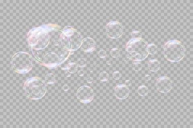 Şeffaf arka planda gökkuşağı sabun köpükleri. Gerçekçi renkli taşaklar. Vektör illüstrasyonu. EPS 10.