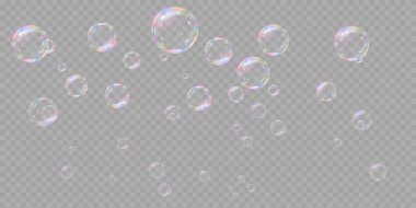 Şeffaf arka planda gökkuşağı sabun köpükleri. Gerçekçi renkli taşaklar. Vektör illüstrasyonu. EPS 10.