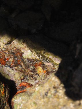 Deniz manzarası çok güzel.