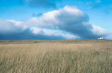 Geniş çayır otlağında, dramatik bir gökyüzü altında yapayalnız beyaz bir binanın gerçekçi bir görüntüsü.