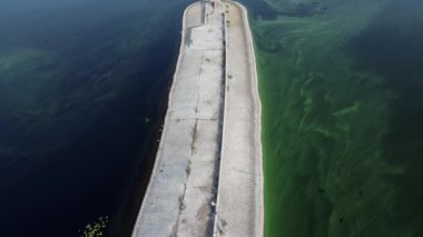 İskele deniz feneri su drone görüntüsü alg çiçekleri. Breakwater Deniz fenerinden orman siluetine insansız hava aracı atışı.