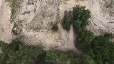 Aerial view from green forest to sand field. Top down, drone shot. 