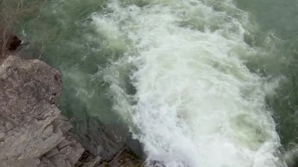 山の中で石の急流を実行している野生と高速豊富な川 夏の日には山の川の水が飛び散る — ストック動画