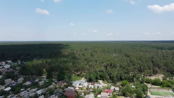 Drone Vuelo Hacia Atrás Desde Verde Bosque Pinos Aldea Con — Vídeo de stock