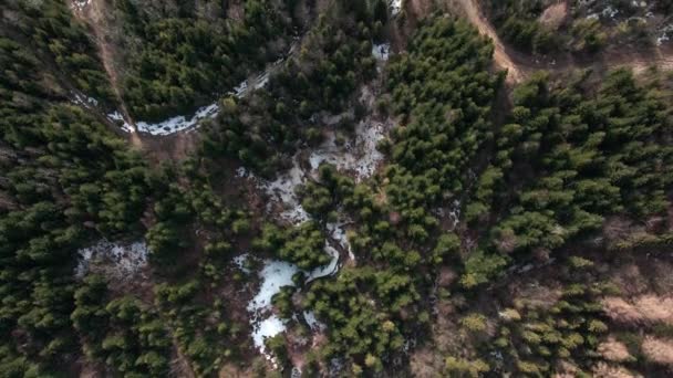 Drone Cinématique Tourné Haut Bas Sommet Forêt Avec Des Sentiers — Video