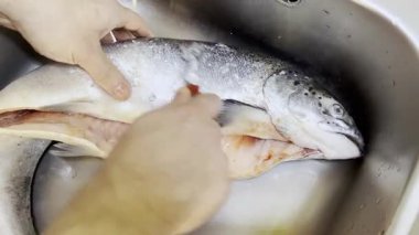 Erkek eli, taze somon balığının pullarını ustalıkla temizliyor. Balık pişirme hazırlığı.