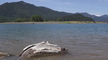 Durgun suda bir kütük, orta mesafede ağaçla kaplı küçük bir ada ve arka planda açık mavi bir gökyüzünün altında görkemli dağlar içeren huzurlu bir doğa sahnesi. Kachess Gölü, WA.