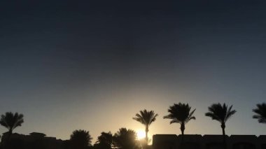 Rüzgarda sallanan palmiye ağaçlarıyla romantik günbatımı zamanı. İnsanlar ön plandan geçer, sakin tropik manzaraya hayat katar..